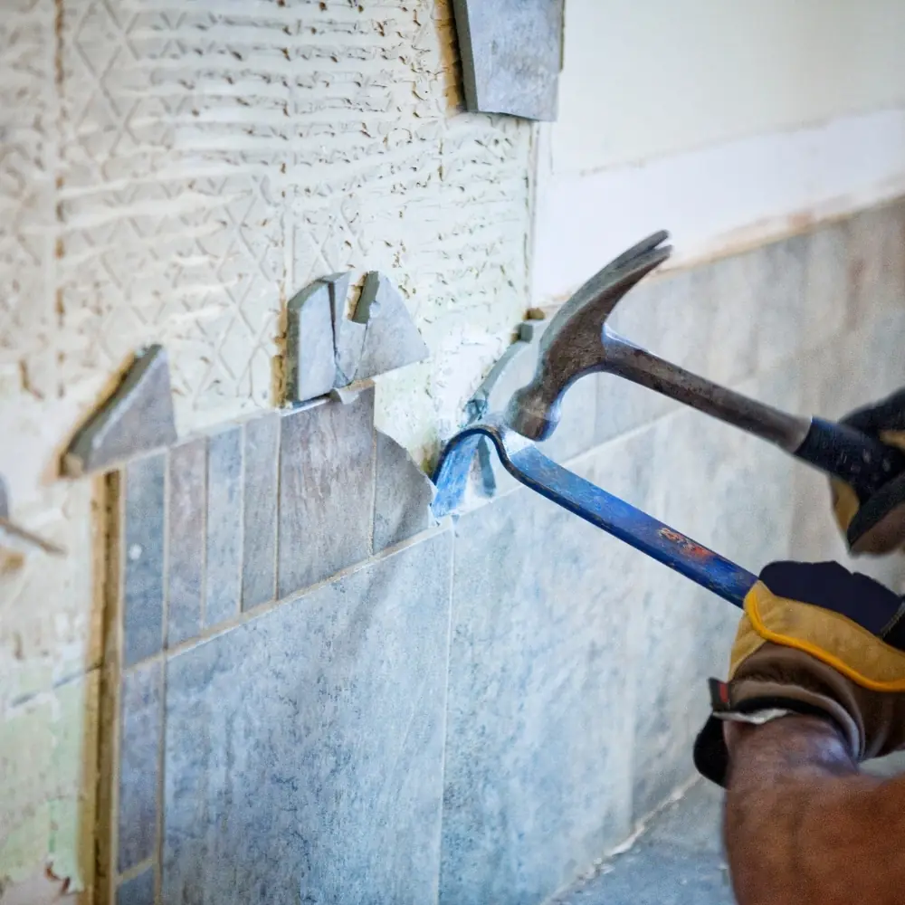 Çekirdeksiz Mahallesi Sanremo Bakımı Çekirdeksiz Mahallesi Sanremo Bakımı